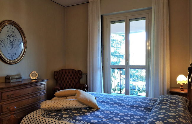 Pettirosso - Photo 8