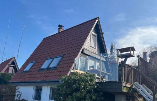 Wolfs-Blick - Foto 1