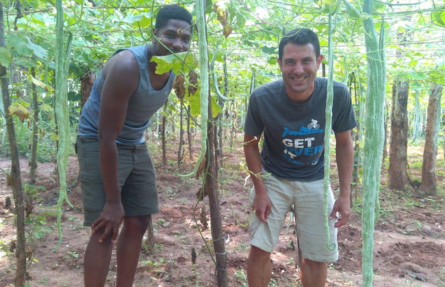 Araliya Self Cooking Resort Dambulla - Foto 2
