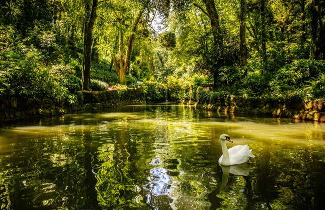 Biglietti per il Palácio da Pena e i suoi giardini - Foto 8