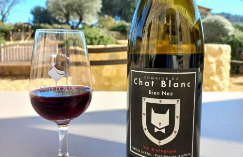 Le Cottage du Chat Blanc - Foto 35