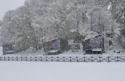 The Squirrel - Foto 28