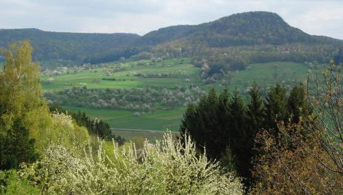 Ferienwohnungen beim Imker - Foto 5