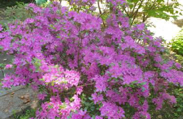 Ferienwohnung Kaminzimmer - Foto 17