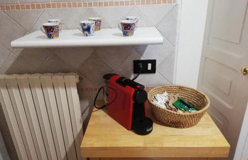 Wild Paradise - Foto 21