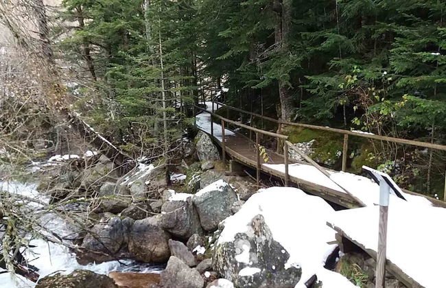 Apartaments Morelló - Photo 28