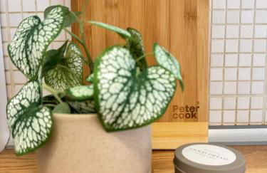 Vatican Exclusive Suite - Foto 21