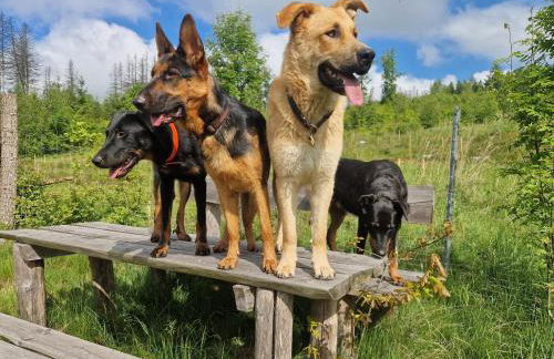 FeWo Herzenstölen - Foto 20