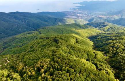 Garden Residence - Foto 42