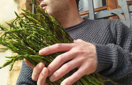 Masia Sagués - Foto 73