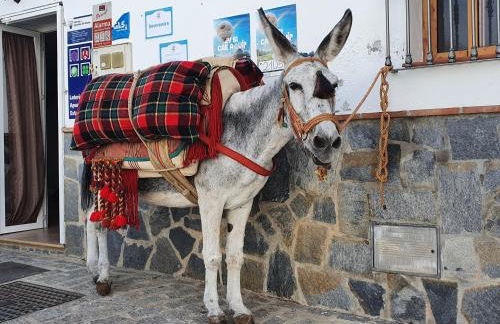 Casa Linda - Foto 30