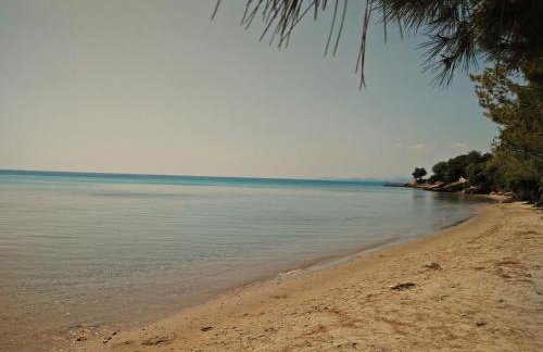 Moriel Seaside Homes Suites - Photo 36