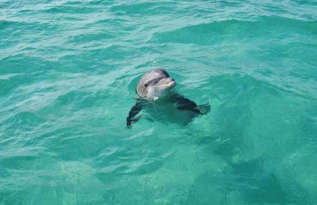 Fontainebleau 335 by Avantstay Beachfront Access - Foto 68