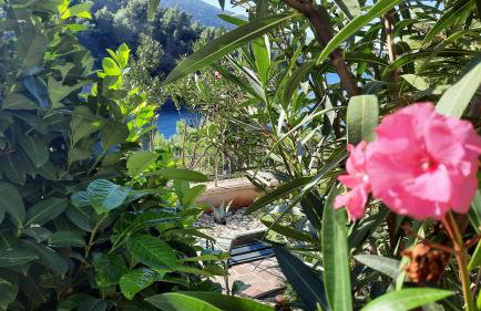 Vila Hera Korčula, Special one, pool, right on the sea,parking, 8 people - Photo 12