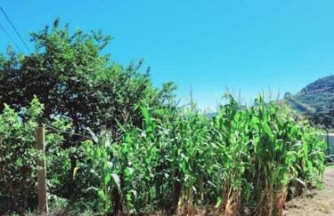 Casa da Vó Hospedagem Afetiva - Foto 49