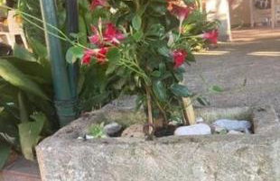 Vila Klara room - garden view - Photo 12