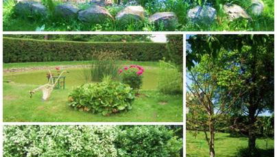 Agroturystyka Szerokopaś - Foto 5, Garden, Garden view