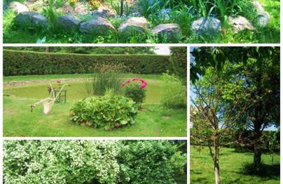 Agroturystyka Szerokopaś - Foto 5