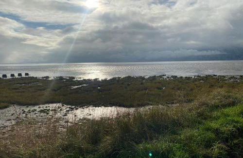 Chez Little Black Cat - Foto 19