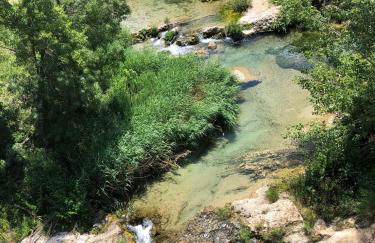 El Rinconcito - Foto 31