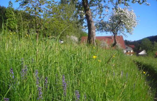 Ferienwohnung Lindenhof - Foto 56