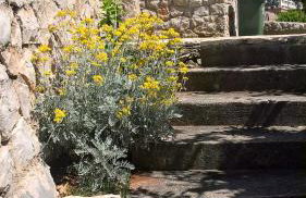 Apartments Krušvina - Foto 39