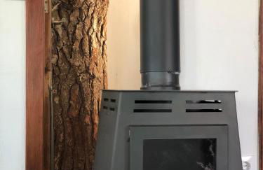 Los Viejitos en Firgas - Foto 155