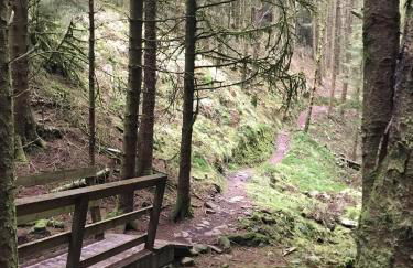 Afan forest-Cregan Cottage-Pet friendly - Foto 39