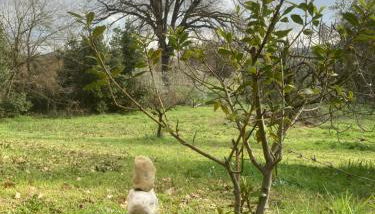 Casa Calicanto - Foto 2