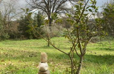 Casa Calicanto - Foto 2