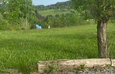 Domki Zielone Wzgórze 606-819-046 - Foto 21