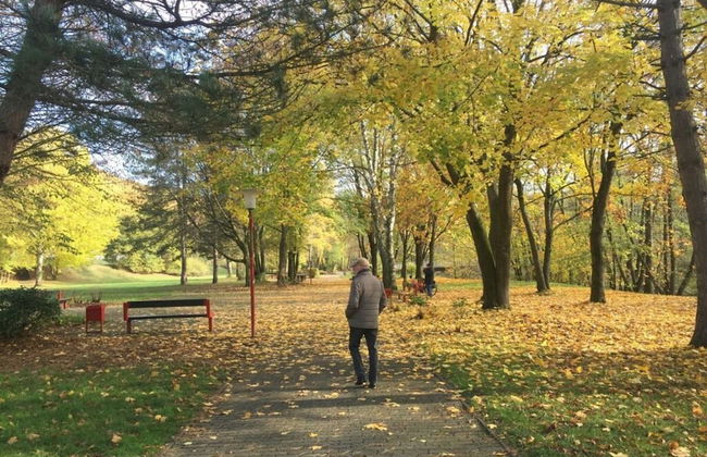 Mechthild and Hans-jurgen Geschwind - Foto 18
