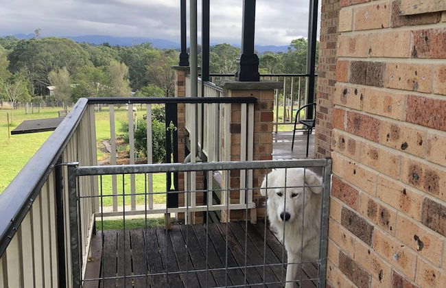 Bryn Glas Farm Stay - Foto 11