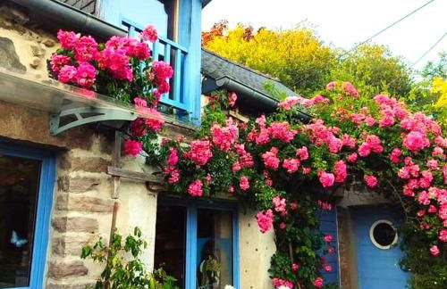 Entre terre et Ocean - Photo 6