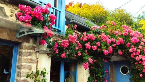 Entre terre et Ocean - Foto 1