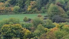 Ferienwohnung Monika - Foto 4