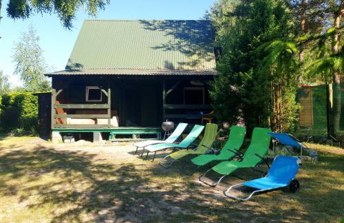 domki nad jeziorem, las, do 10 osób jezioro Wilczyńskie Budzisławskie - domek letniskowy osobno ogrodzony, ogrzewany mile widziane pieski, zwierzeta- wielkopolska, 62-550 Zygmuntowo gm Wilczyn - Photo 6