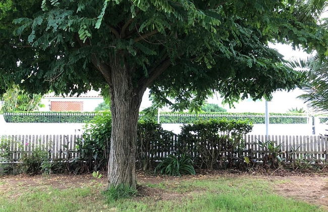 House With 2 Bedrooms in Pico da Pedra, With Wonderful sea View and Enclosed Garden Near the Beach - Foto 33