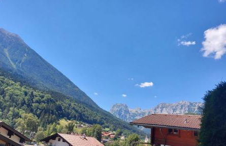 Haus am Forstamt 11 Ferienwohnungen - Foto 19