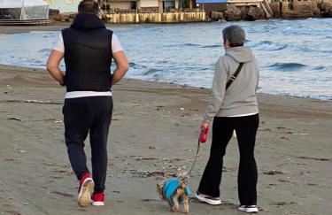 Arkoudi Bella Vista - Foto 48