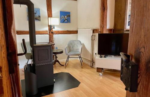 Ferienhof Rauchhaus - Foto 7