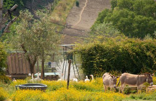 Fattoria di Maiano - Photo 18
