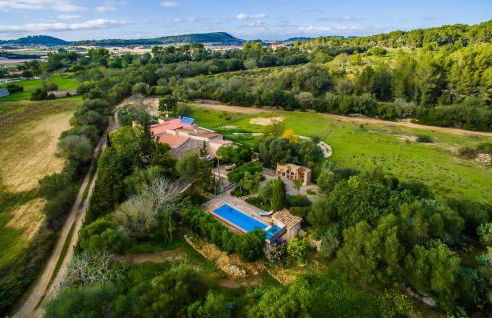 Higo Chumbo - Foto 13