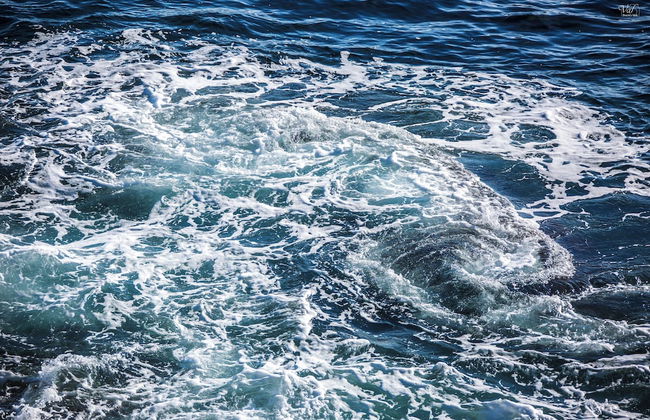 Villa de La Madrague – Presqu’île de Giens - Foto 73