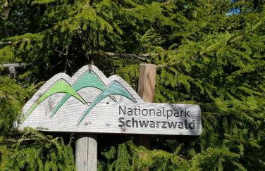 Ferienwohnung Tannenballett im Schwarzwald - Foto 49