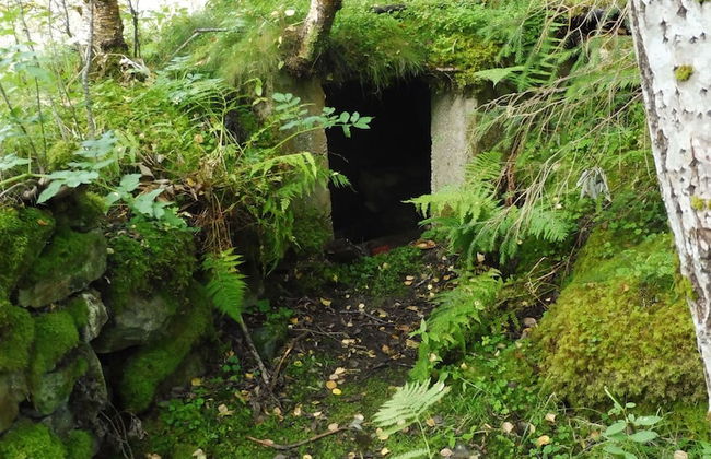 Fiskesenter Birkeland - Photo 49