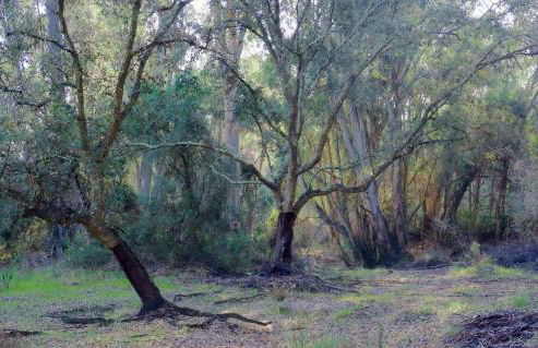 La Casa de Oti playa Mazagón vistas al mar - Foto 20