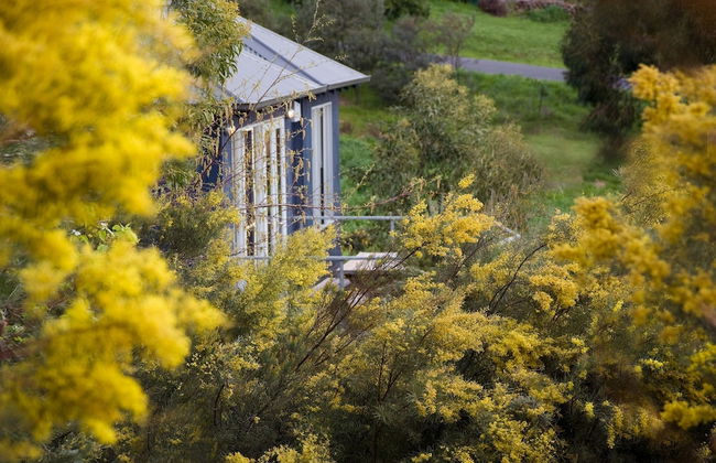 Queensberry Springs Villa 1 - Foto 15