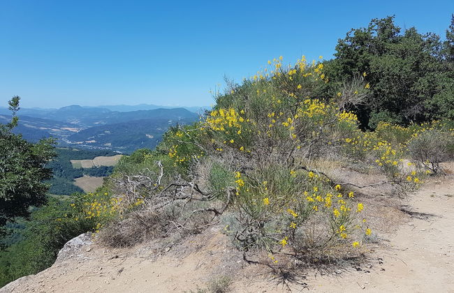 Agriturismo Piccola Raieda - Photo 29