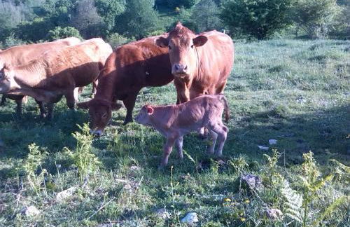 Agriturismo La Guinza - Pool & Relax - Foto 66